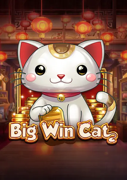 Big Win Cat | PlayNGo