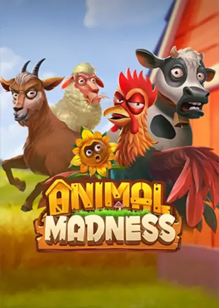 Animal Madness | PlayNGo